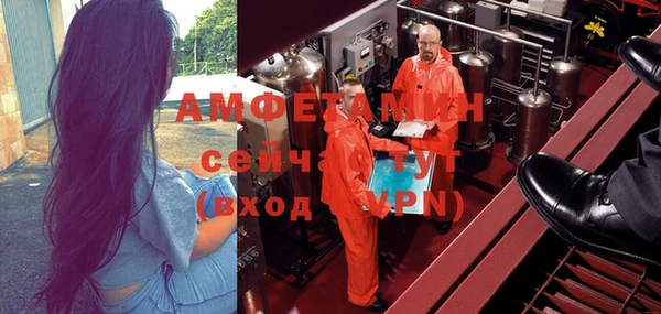 сатива Абинск