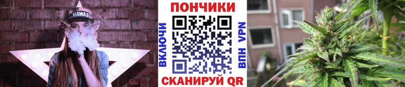 Бошки Шишки OG Kush  KRAKEN онион  Ядрин 